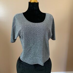 Express Shimmering Gray Short Sleeve Top